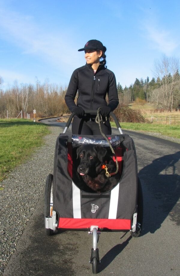 DoggyRide Novel dog stroller - Image 2