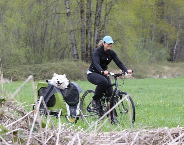 DoggyRide Novel dog bike trailer - Image 3